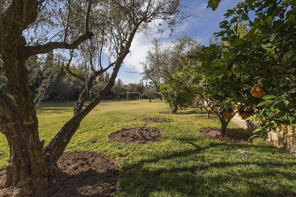מרקש Villa Zahra Palmeraie מראה חיצוני תמונה